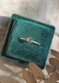 14k Gold - Desire Ring | Diamond - Ring - LanaBetty