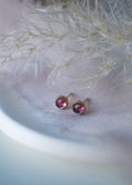 14k Gold - Vega Stud Earrings - Pink Tourmaline - Earring - LanaBetty